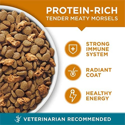 Purina ONE Tender Selects Dry Cat Food, Chicken, 7 lb Bag