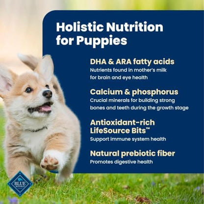 Blue Buffalo Life Protection Formula Natural Puppy Dry Dog Food, Chicken & Brown Rice, 15-lb Bag