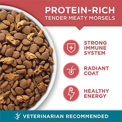 Purina ONE Tender Selects Dry Cat Food, Salmon, 7 lb Bag