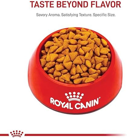 Royal Canin Feline Health Nutrition Adult Dry Cat Food, 7 lb Bag