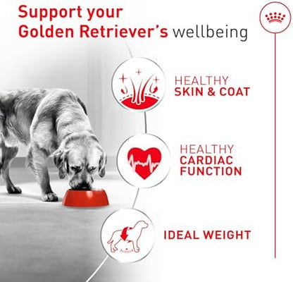 Royal Canin Breed Health Nutrition Golden Retriever Adult Dry Dog Food, 30 lb Bag