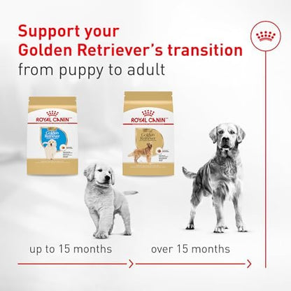 Royal Canin Breed Health Nutrition Golden Retriever Adult Dry Dog Food, 30 lb Bag