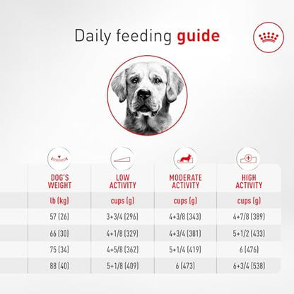 Royal Canin Breed Health Nutrition Golden Retriever Adult Dry Dog Food, 30 lb Bag