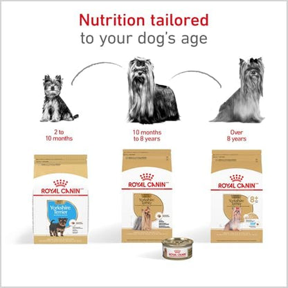 Royal Canin Breed Health Nutrition Yorkshire Terrier Adult Dry Dog Food, 2.5 lb Bag