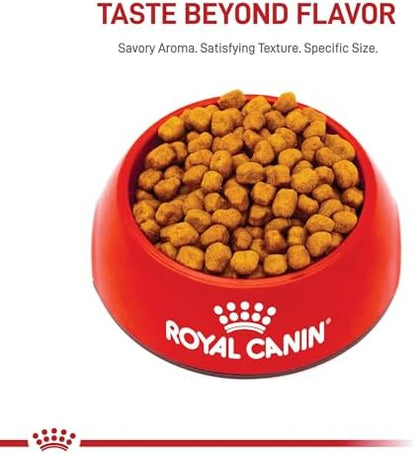 Royal Canin Breed Health Nutrition Shih Tzu Adult Dry Dog Food, 2.5 lb Bag