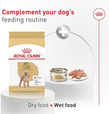 Royal Canin Breed Health Nutrition Poodle Adult Dry Dog Food, 10 lb Bag