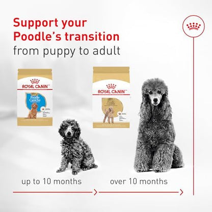 Royal Canin Breed Health Nutrition Poodle Adult Dry Dog Food, 10 lb Bag