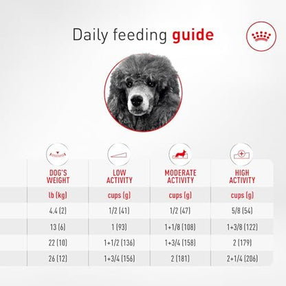 Royal Canin Breed Health Nutrition Poodle Adult Dry Dog Food, 10 lb Bag