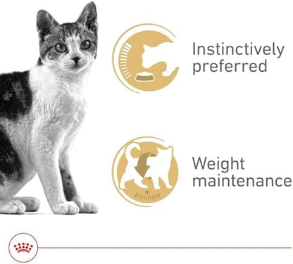 Royal Canin Feline Health Nutrition Adult Instinctive Adult Thin Slices in Gravy Cat Food, 3 oz (Pack of 24)