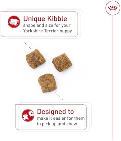 Royal Canin Breed Health Nutrition Yorkshire Terrier Puppy Dry Dog Food, 2.5 lb Bag
