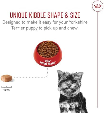 Royal Canin Breed Health Nutrition Yorkshire Terrier Puppy Dry Dog Food, 2.5 lb Bag