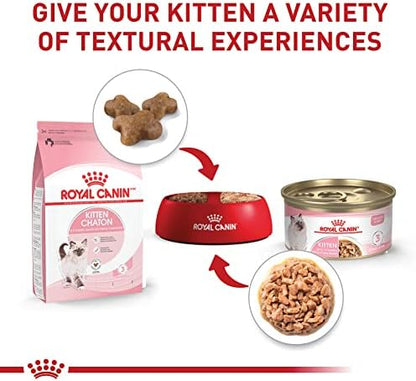 Royal Canin Feline Health Nutrition Kitten Thin Slices in Gravy Cat Food, 3 oz (Pack of 24)
