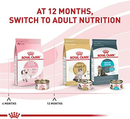 Royal Canin Feline Health Nutrition Kitten Thin Slices in Gravy Cat Food, 3 oz (Pack of 24)