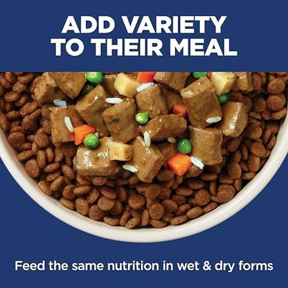 Hill's Science Diet Sensitive Stomach & Skin Dry Dog Food, Adult Formula, Chicken Recipe, 30 lb. Bag
