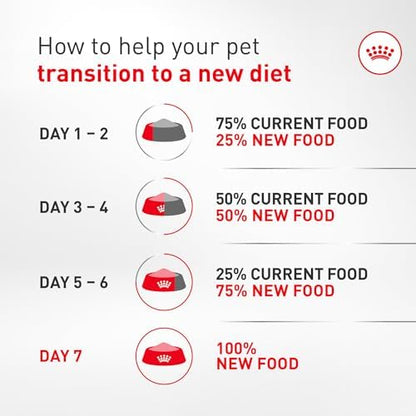 Royal Canin Breed Health Nutrition Dachshund Adult Dry Dog Food, 10 lb Bag