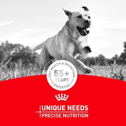 Royal Canin Breed Health Nutrition Dachshund Adult Dry Dog Food, 10 lb Bag
