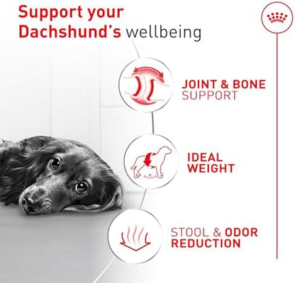 Royal Canin Breed Health Nutrition Dachshund Adult Dry Dog Food, 10 lb Bag