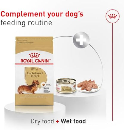 Royal Canin Breed Health Nutrition Dachshund Adult Dry Dog Food, 10 lb Bag