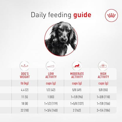 Royal Canin Breed Health Nutrition Dachshund Adult Dry Dog Food, 10 lb Bag