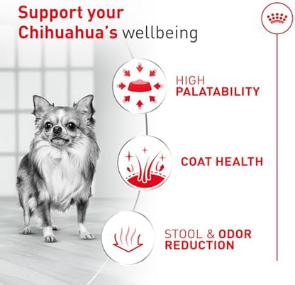 Royal Canin Breed Health Nutrition Chihuahua Adult Dry Dog Food, 2.5 lb Bag