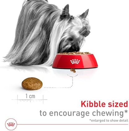 Royal Canin Size Health Nutrition X-Small Adult Dry Dog Food, 2.5 lb Bag