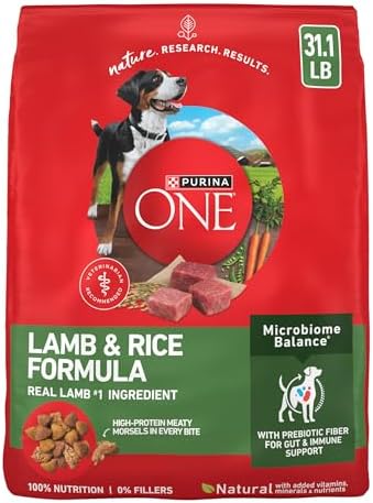 Purina ONE Lamb and Rice Dry Dog Food, 31.1 lb Bag