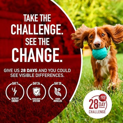 Purina ONE Lamb and Rice Dry Dog Food, 31.1 lb Bag
