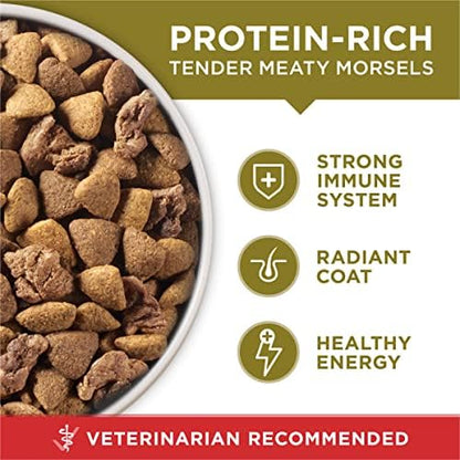 Purina ONE Lamb and Rice Dry Dog Food, 31.1 lb Bag