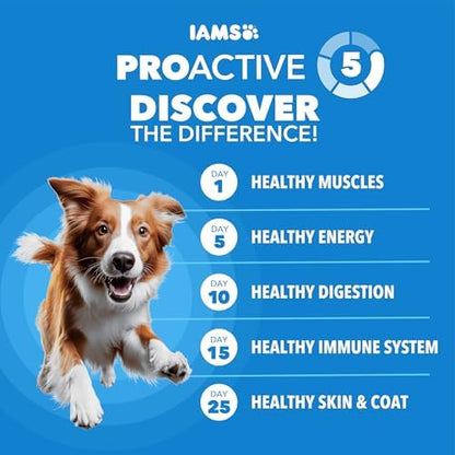 IAMS Proactive Health Healthy Adult Dry Dog Food, Chicken Recipe, 30 lb Bag