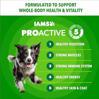 IAMS Proactive Health Minichunks Adult Dry Dog Food, Chicken Recipe, 30 lb Bag
