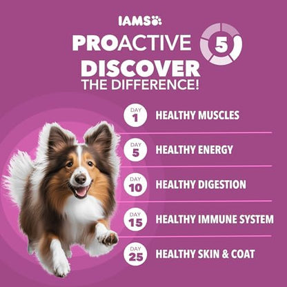 IAMS Proactive Health Mature Adult Large Breed Dry Dog Food, Chicken Recipe, 30 lb Bag