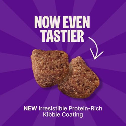 Wellness Complete Health Natural Dry Cat Food, Chicken Recipe, 4 lb Bag