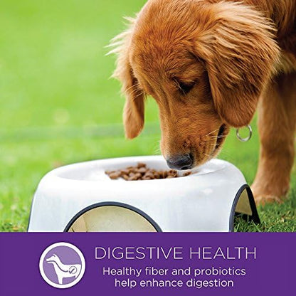 Wellness Complete Health Natural Dry Cat Food, Chicken Recipe, 4 lb Bag