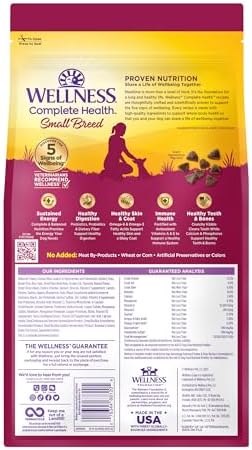 Wellness Complete Health Natural Dry Cat Food, Chicken Recipe, 4 lb Bag