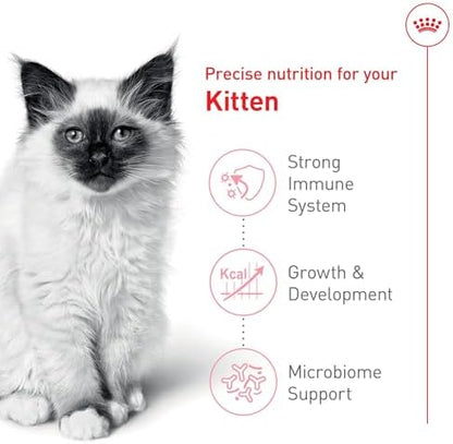 Royal Canin Feline Health Nutrition Kitten Dry Cat Food, 7 lb Bag