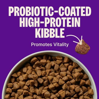 Wellness CORE Grain-Free High-Protein Large Breed Adult Dry Dog Food, Real Chicken Recipe, 26 lb Bag