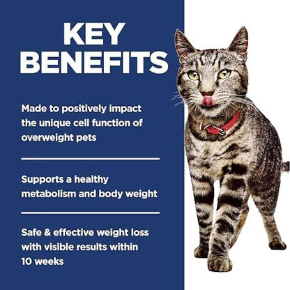 Hill's Science Diet Adult Perfect Weight Dry Cat Food, Chicken Recipe, 7 lb. Bag