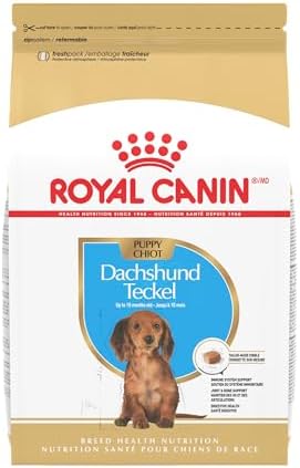 Royal Canin Breed Health Nutrition Dachshund Puppy Dry Dog Food, 2.5 lb Bag