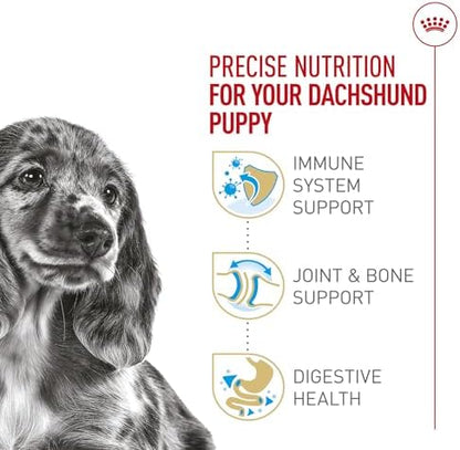 Royal Canin Breed Health Nutrition Dachshund Puppy Dry Dog Food, 2.5 lb Bag