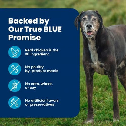 Blue Buffalo Life Protection Formula Natural Senior Dry Dog Food, Chicken & Brown Rice, 30-lb Bag