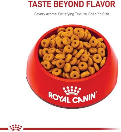 Royal Canin Canine Digestive Care Dry Dog Food, 6 lb Bag