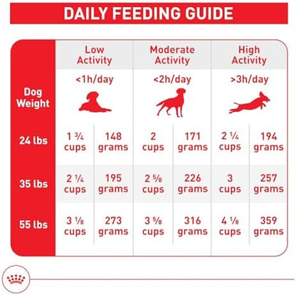 Royal Canin Breed Health Nutrition German Shepherd Adult Dry Dog Food, 17 lb Bag