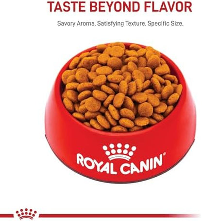 Royal Canin Breed Health Nutrition German Shepherd Adult Dry Dog Food, 17 lb Bag