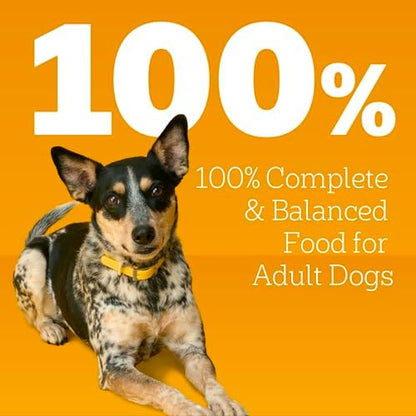 Pedigree Chopped Ground Dinner Weight Management Wet Dog Food, Chicken & Rice Dinner in Meaty Juices, 13.2 oz Cans, 12-Pack