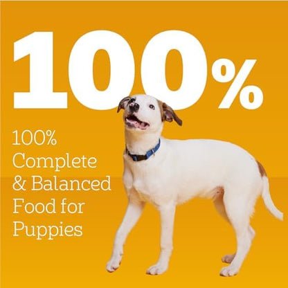 Pedigree Chopped Ground Dinner Adult Wet Dog Food, Chicken Flavor, 13.2 oz Cans, 12-Pack