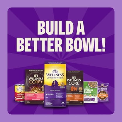 Wellness Complete Health Natural Dry Cat Food, Chicken Recipe, 5 lb Bag