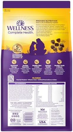 Wellness Complete Health Natural Dry Cat Food, Chicken Recipe, 5 lb Bag