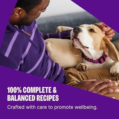 Wellness Complete Health Natural Adult Dry Dog Food, Lamb & Oatmeal Recipe, 5 lb Bag