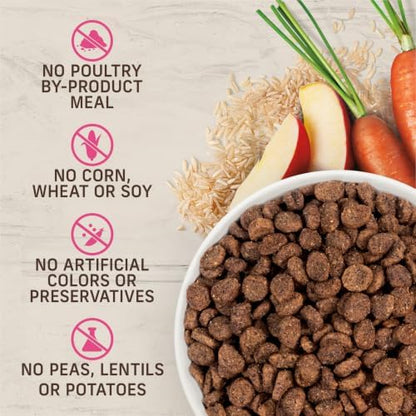 Merrick Healthy Grains Dry Dog Food, Real Chicken & Brown Rice Recipe, 4 lb Bag