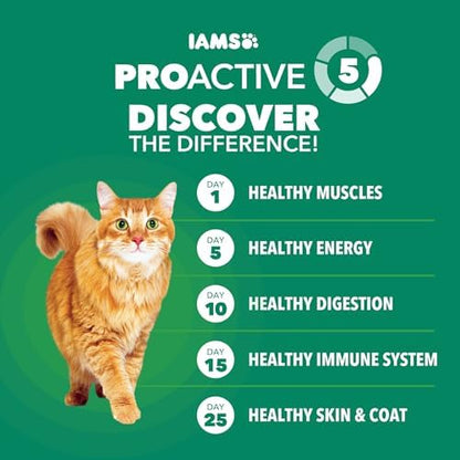 IAMS Proactive Health Healthy Adult Dry Cat Food, Chicken Recipe, 3.5 lb Bag